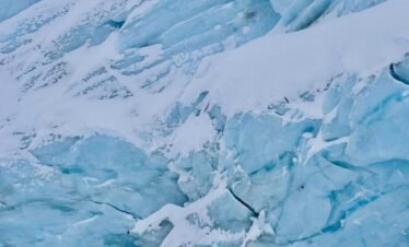 Persona y su perro sobre la laguna congelada del Glaciar Ojo del Albino en Ushuaia, con el imponente glaciar de fondo.
