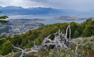 Vista panorámica de Ushuaia, Argentina, y el Canal Beagle desde la cima del Monte Susana, con raíces de árboles muertos en primer plano y el logo de XPLOR Turismo en la esquina, bajo un cielo dramático.